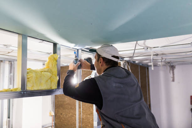 Best Types of Insulation in Eagan, MN